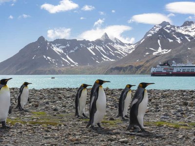 Hurtigruten expeditie Antarctica, Falkland eilanden en South Georgia