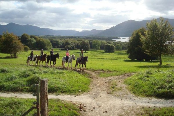 Paardrijden vanuit Killarney