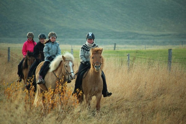 Paardrijden Varmahlid