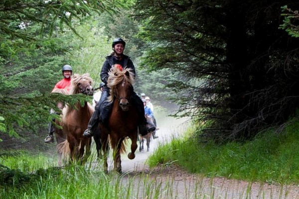 Paardrijden vanuit Hveragerdi