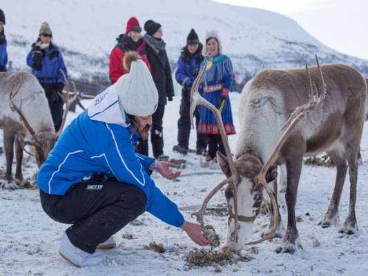 Troms Dagprogramma bij Camp Tamok