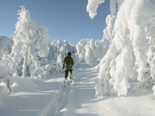 Winterwonderland in Geilo