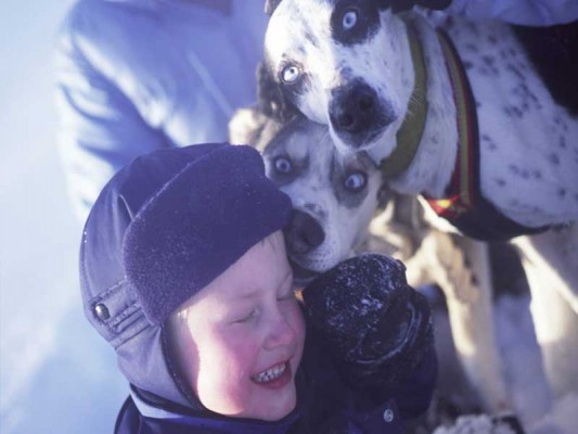 met de huskys knuffelen in Kiruna